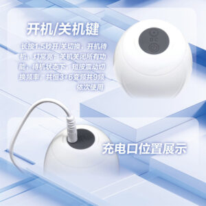 App-Controlled Aircraft Massager